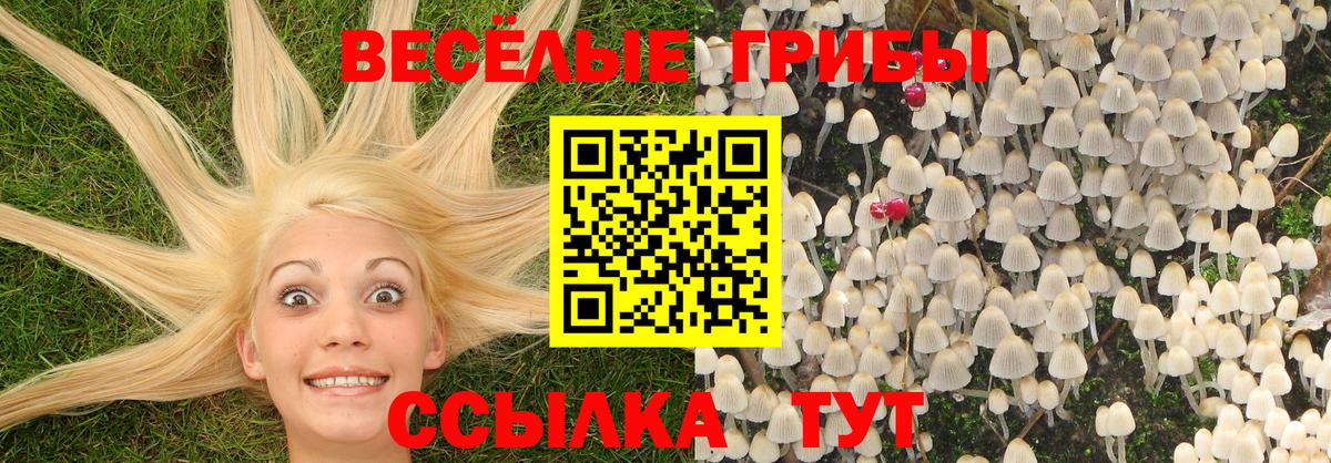 Галлюциногенные грибы MAGIC MUSHROOMS  Вход с VPN  Псилоцибиновые грибы мухоморы  Подольск 
