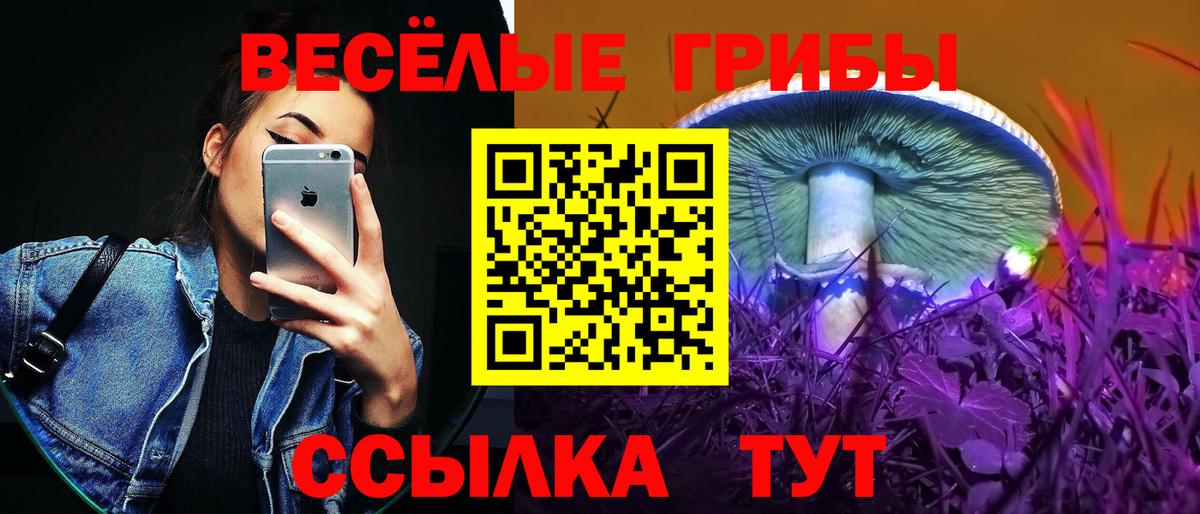 Псилоцибиновые грибы Magic Shrooms Подольск